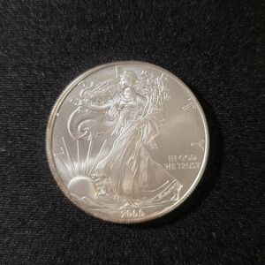 1 Troy Oz Silver Coin with Lady Liberty
